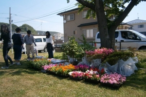 These are flowers and trees funded by Andre's friends.